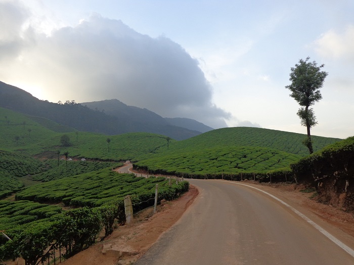Munnar In A Nutshell Munnar In A Nutshell
