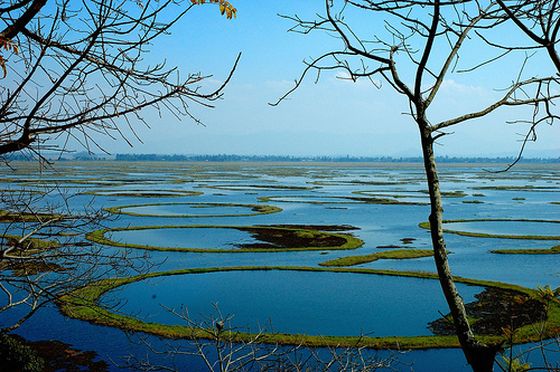 Floating Islands of Loktak
