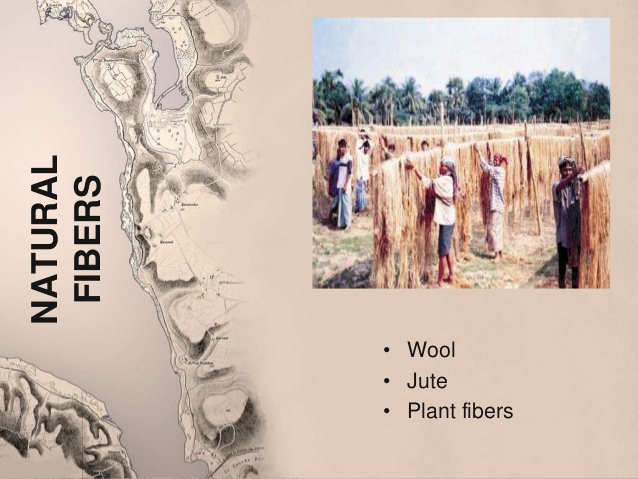 Natural fibers from ancient India