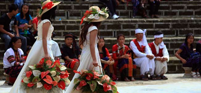 Anthurium Festival