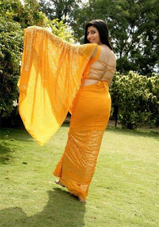 OUTSTANDING SAREE BACKLESS COLLECTION