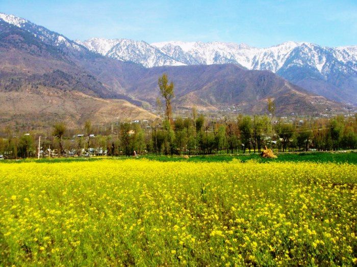 Pulwama Pulwama