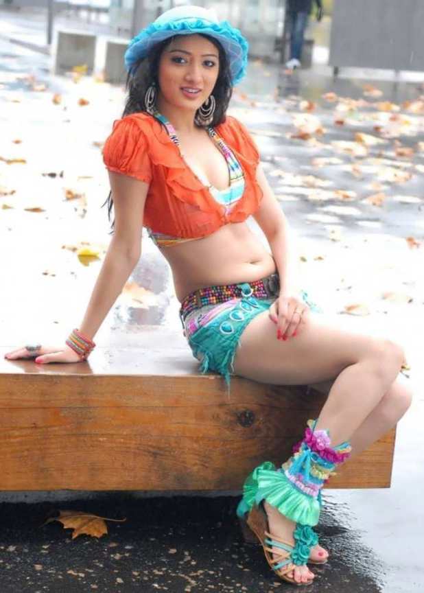 Richa Panai Latest Hot Navel Show Photos