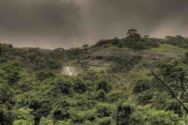 Sanjay Gandhi National Park, Mumbai
