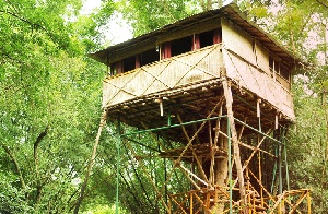 11 Top India Tree House Hotels 11 Top India Tree House Hotels