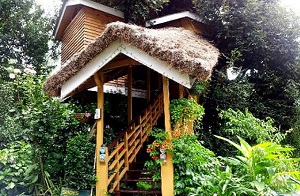 11 Top India Tree House Hotels 11 Top India Tree House Hotels
