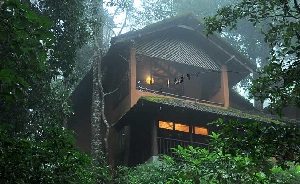 11 Top India Tree House Hotels 11 Top India Tree House Hotels