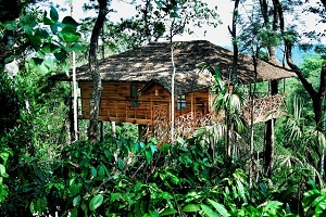 11 Top India Tree House Hotels 11 Top India Tree House Hotels