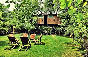 11 Top India Tree House Hotels 11 Top India Tree House Hotels