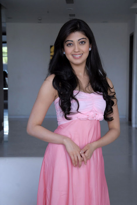 ACTRESS PRANITHA SUBHASH IN SAREE SPICY PICS