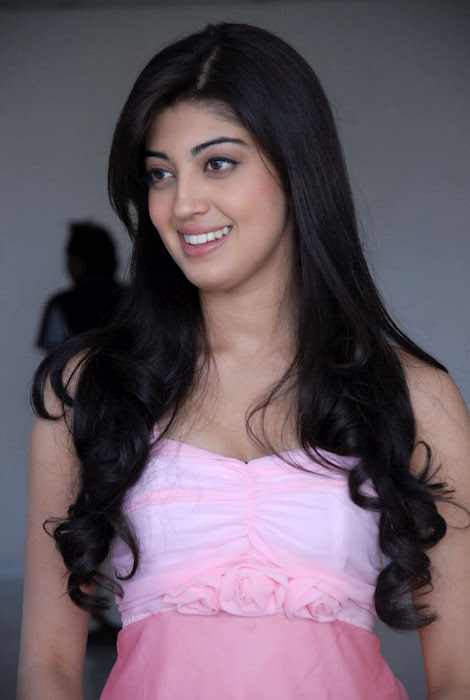 ACTRESS PRANITHA SUBHASH IN SAREE SPICY PICS