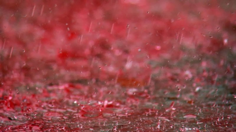 Blood rain in Kerala Blood rain in Kerala