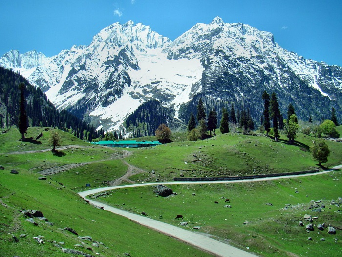 Sonamarg Amazing Camping Spots in India