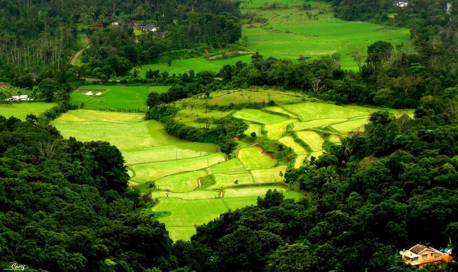 Coorg Amazing Camping Spots in India
