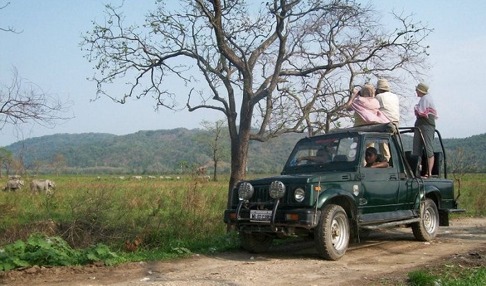 Kaziranga National Park | Assam