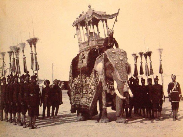 decorated elephant