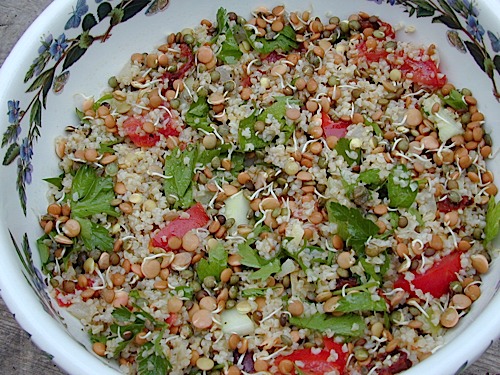Sprouts Recipe