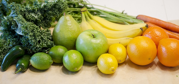 GM Diet plant