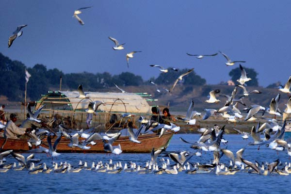 Jatinga – Assam