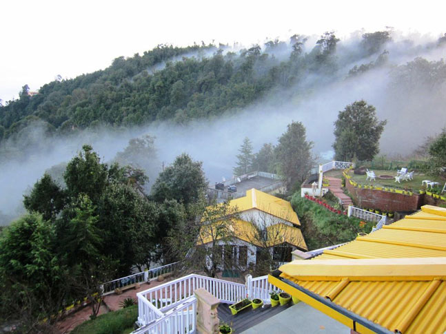 Te Aroha, Dhanachuli, Uttarakhand Te Aroha, Dhanachuli, Uttarakhand