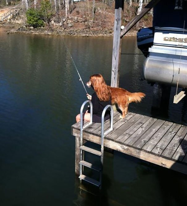 perfectly-timed-dog-photos-that-will-make-your-week perfectly-timed-dog-photos-that-will-make-your-week
