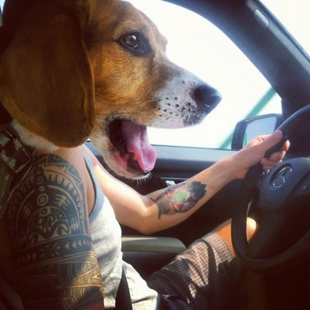 perfectly-timed-dog-photos-that-will-make-your-week perfectly-timed-dog-photos-that-will-make-your-week