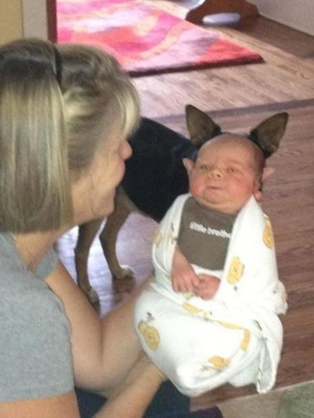 perfectly-timed-dog-photos-that-will-make-your-week perfectly-timed-dog-photos-that-will-make-your-week
