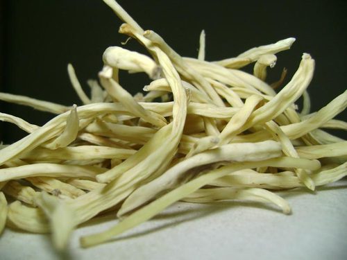 safed-musli-benefits-in-hindi safed-musli-benefits-in-hindi