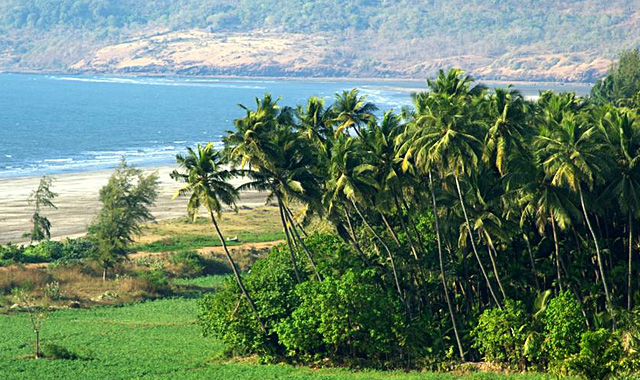 secret-beaches-of-goa secret-beaches-of-goa