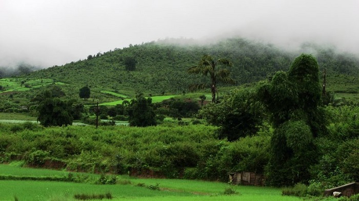 Daringbadi, Odisha tea/coffee cities