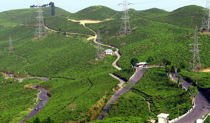 Darjeeling, West Bengal tea/coffee cities
