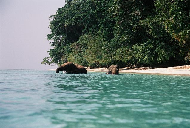 Andaman Island: The Deep Blue Sea Andaman Island: The Deep Blue Sea