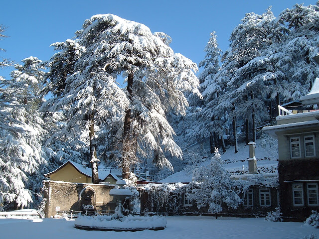 Shimla: Queen of Hills Shimla: Queen of Hills