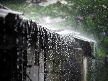 The Rainiest Place on Earth
