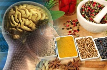 Mind Power Herbals