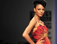 Top 10 List Of Best Hottest And Successful Indian Models 2015 