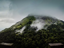 Top 10 Tourist Places In Kerala