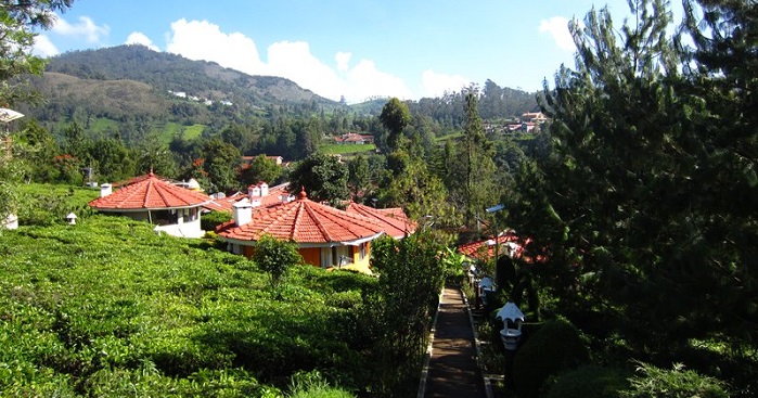 Placid Meditation And Yoga Retreats In India
