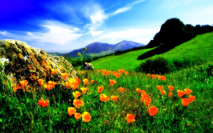 amazing wonders of india