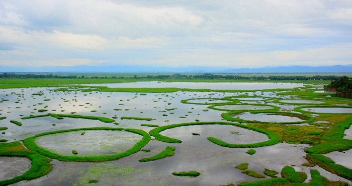 Loktak Lake, Manipur