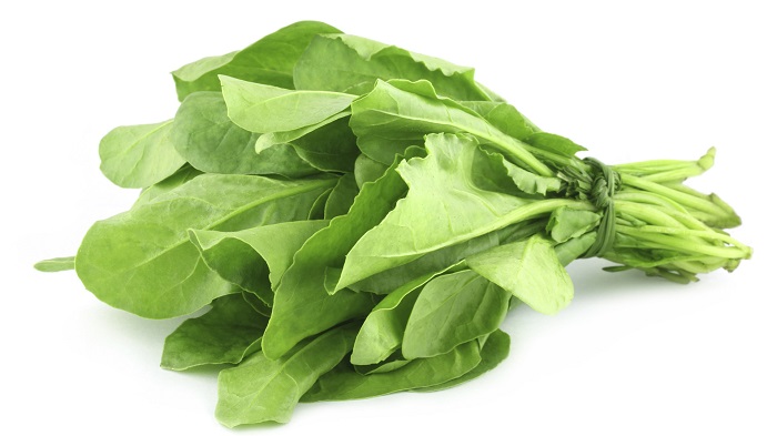 Spinach Improve Your Memory 