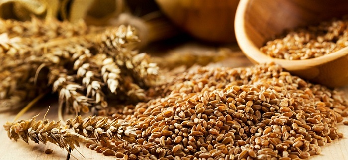 Whole Grains Improve Your Memory 