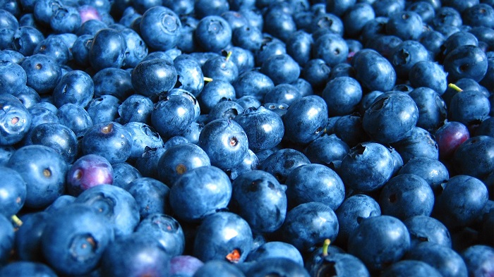 Blueberries  to Improve Your Memory 