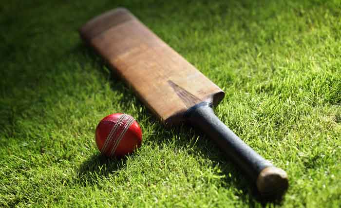Facts About Indian Cricket