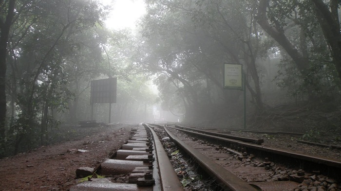 things to do in Mumbai