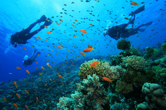Top 15 things must to do in Goa