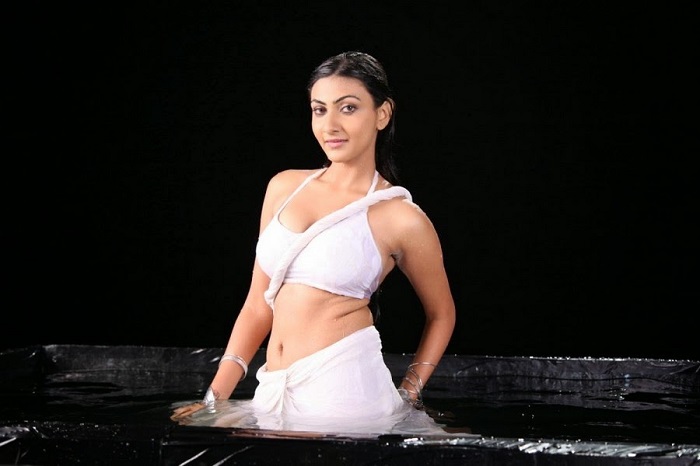 Hot Wet Tollywood Actresses Saree Pics