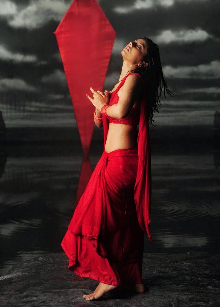 Hot Wet Tollywood Actresses Saree Pics