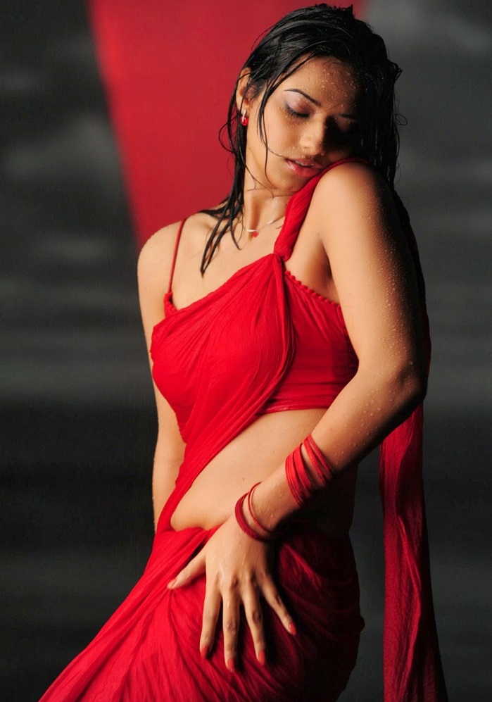 Hot Wet Tollywood Actresses Saree Pics