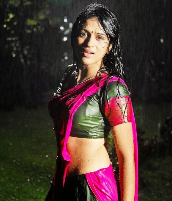 Hot Wet Tollywood Actresses Saree Pics